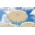200 cm.lik Su Geçirmez Kumaşlı Şemsiye ( Düz Renk )